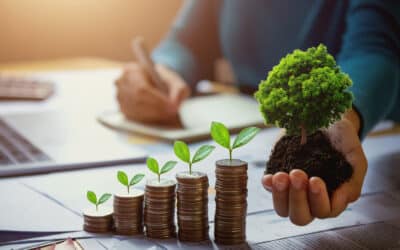 What is the Boiler Upgrade Scheme: A Background