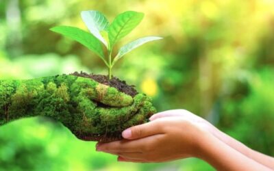 How The Air Conditioning Industry Is Becoming More Eco-Friendly