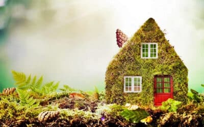 Green Living: How You Can Reduce Your Environmental Impact At Home.