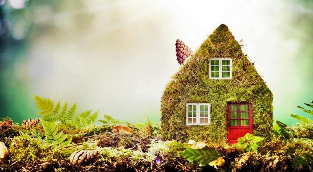 Green Living: How You Can Reduce Your Environmental Impact At Home.