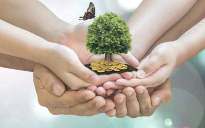 What Our Customers Are Saying: Richard’s ASHP Experience!