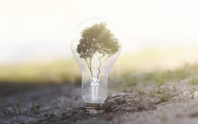 Renewable Energy – Discussing the Myths & Mysteries of Solar Energy