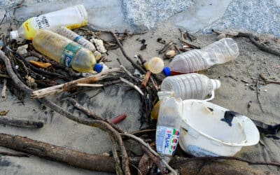 Environmental: How is Plastic Production Linked to the Climate Crisis?