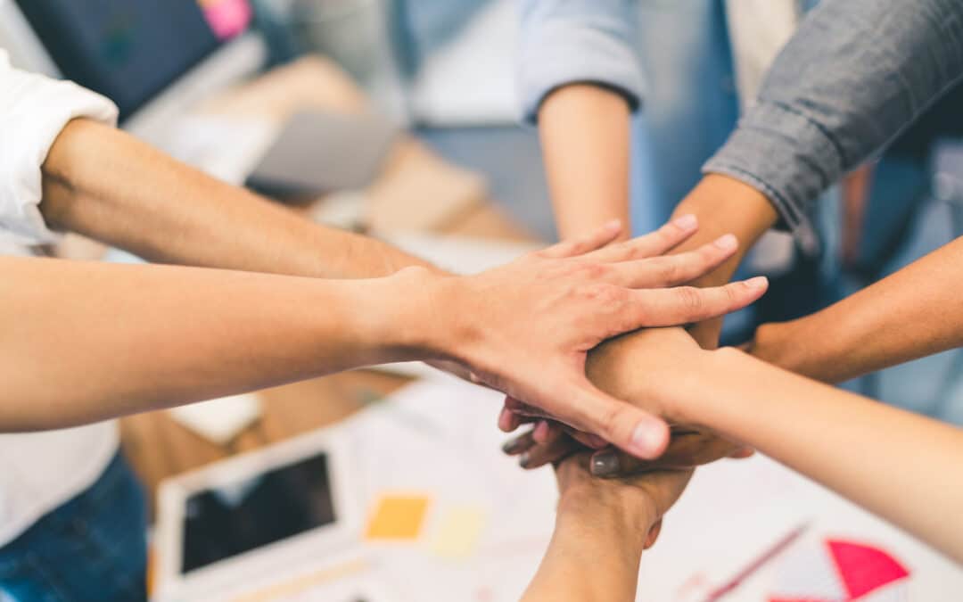 Here to Help How Our Woodhouse Support Team Are Earning Praise